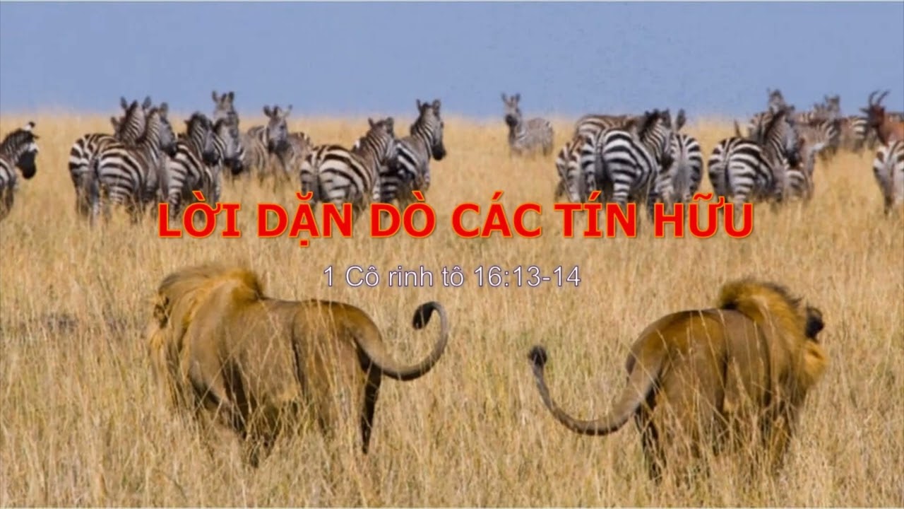 LỜI DẶN DÒ CÁC TÍN HỮU - Mục sư Nguyễn Phi Hùng
