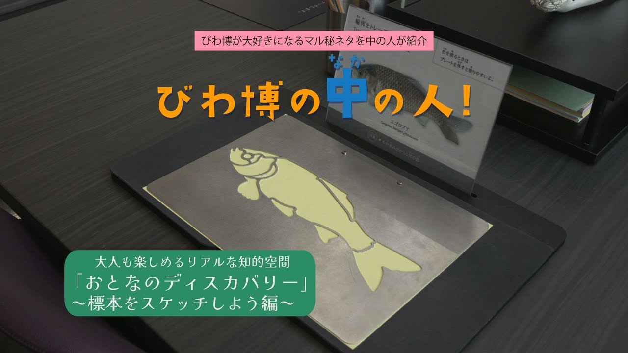 学芸員さんが標本のスケッチ方法を大公開！
