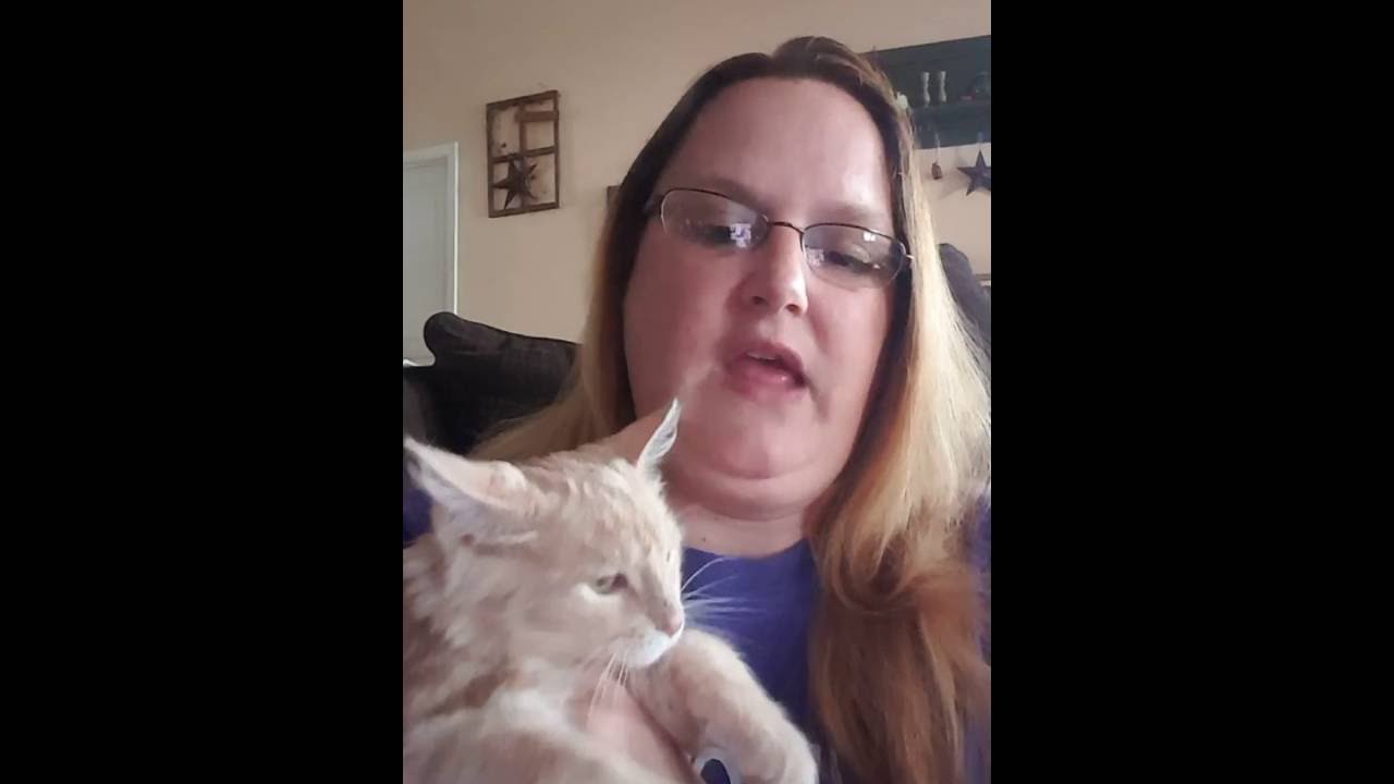 Ringworm Treatment For Cats - Simple Solution to Treat Spores and Fungi On Contact