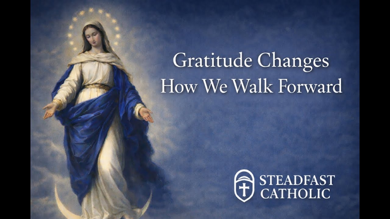 Gratitude Changes How We Walk Forward | A Post-Novena Reflection
