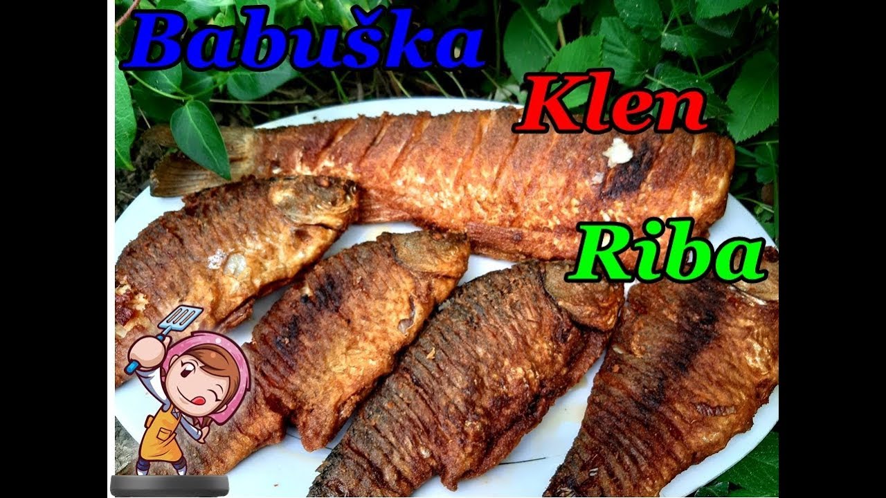 Najbolji način pripreme babuške i klijena ribe-The best way to prepare babushka and chub fish