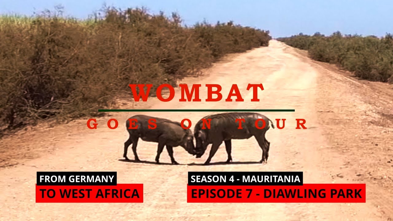 Tour nach Westafrika - Diawling Park - S4E07