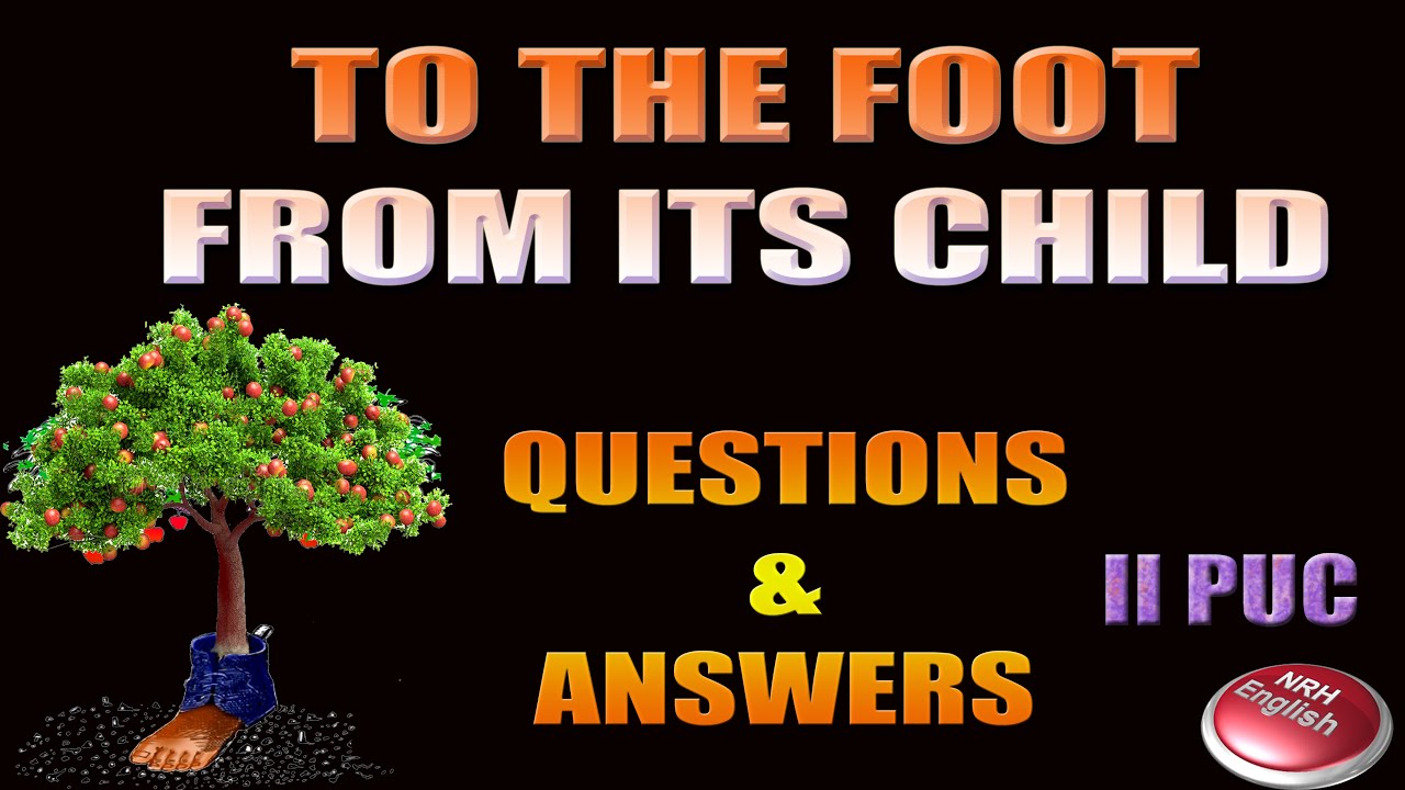 TO THE FOOT FROM ITS CHILD  (QUESTIONS & ANSWERS)