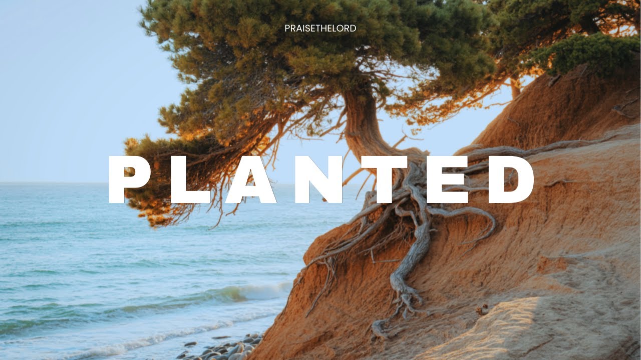 Planted
