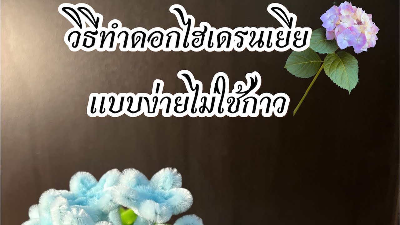 วิธีทำดอกไฮเดรนเยีย แบบง่าย