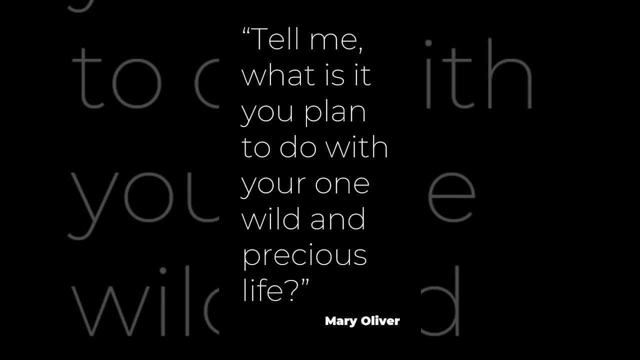 A WILD and precious life! #quotes #wisdom #message #motivation #lawofattraction #truth