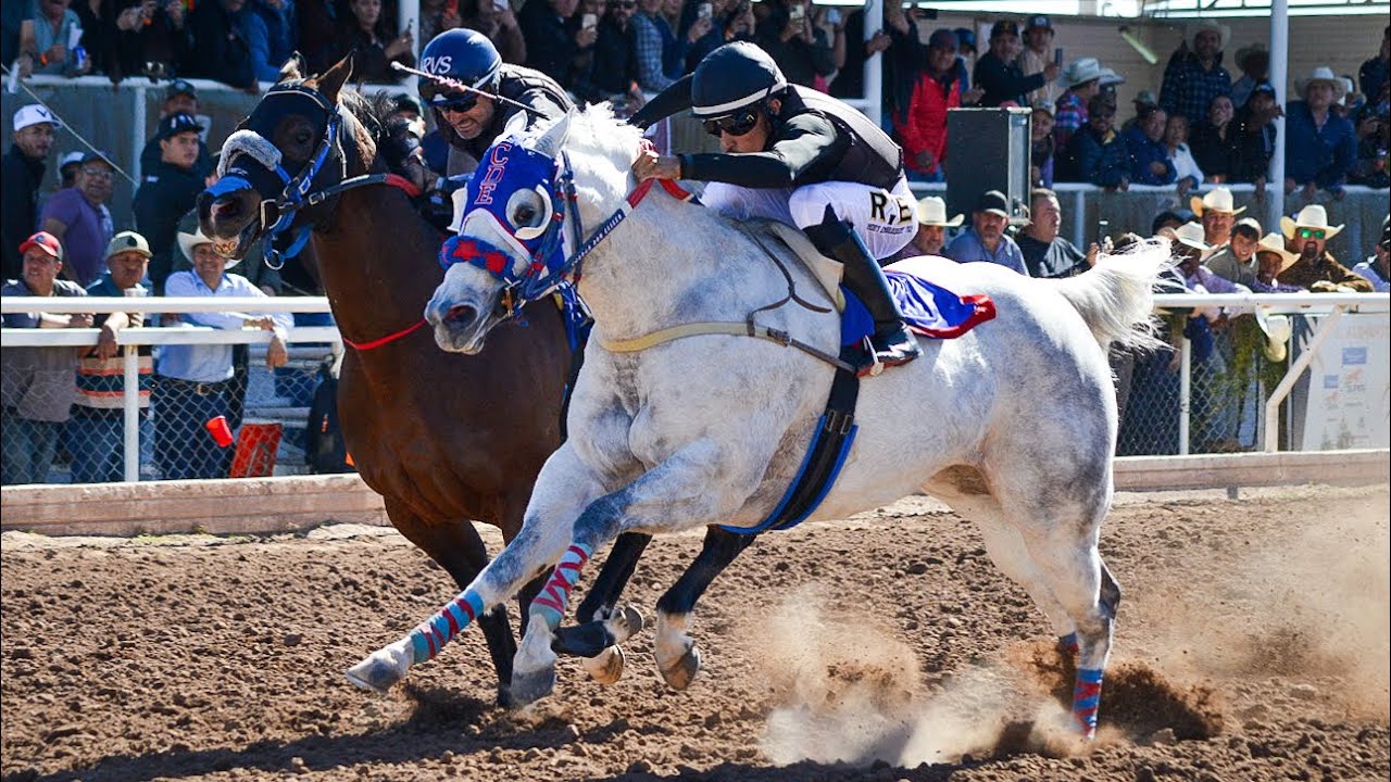 LA METÁLICA Vs EL OREJÓN | Gran Revancha En Satevo Race Track Chihuahua.