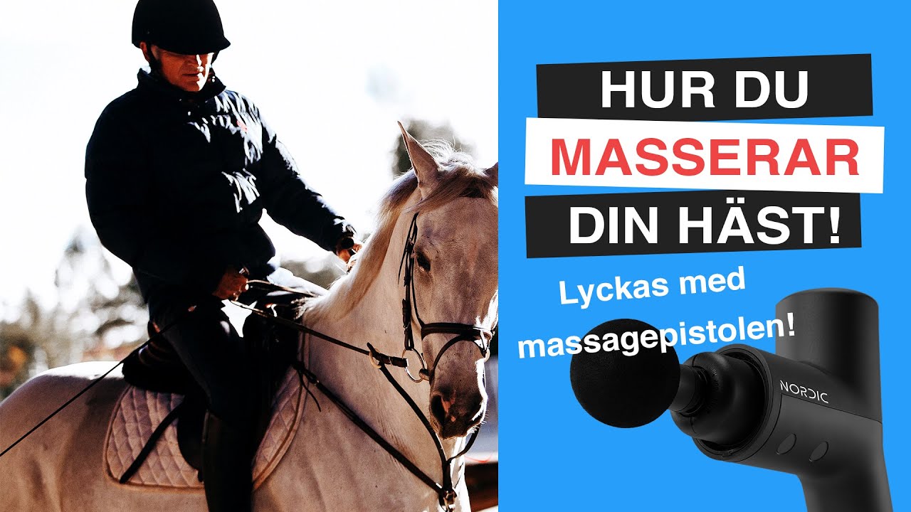 Rätt MASSAGE för din HÄST! Teknik för HÄSTMASSAGE med Massagepistol!