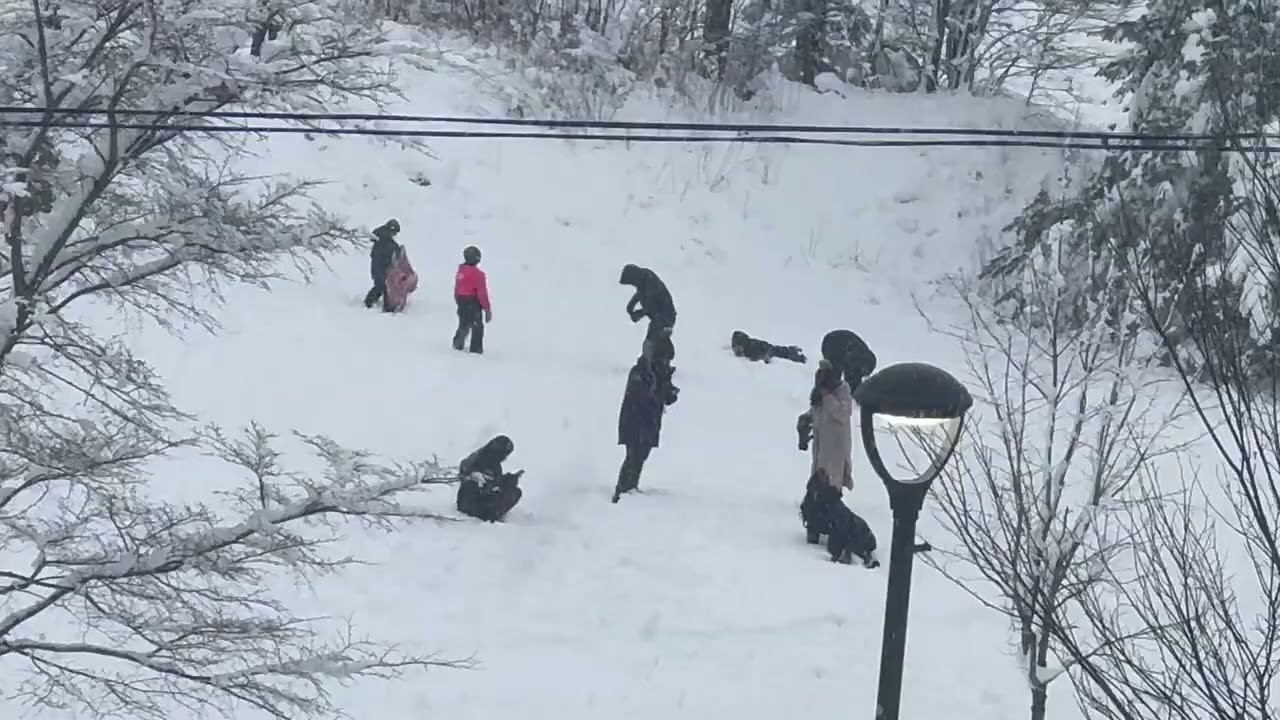 A snowy outdoor park setting in Halifax !!!