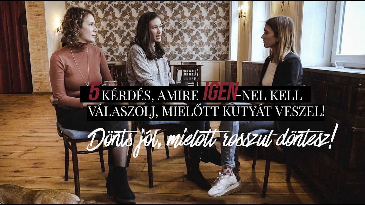 5 kérdés a leendő gazdikhoz | DÖNTS JÓL, mielőtt rosszul döntesz! | MFÖEK & Floppy and Me