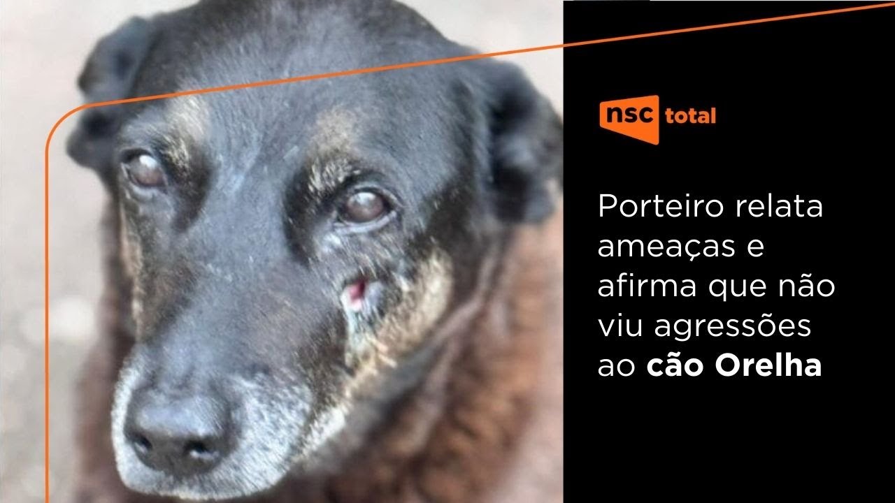 Caso do cão Orelha: porteiro relata ameaças e polícia investiga coação de testemunha
