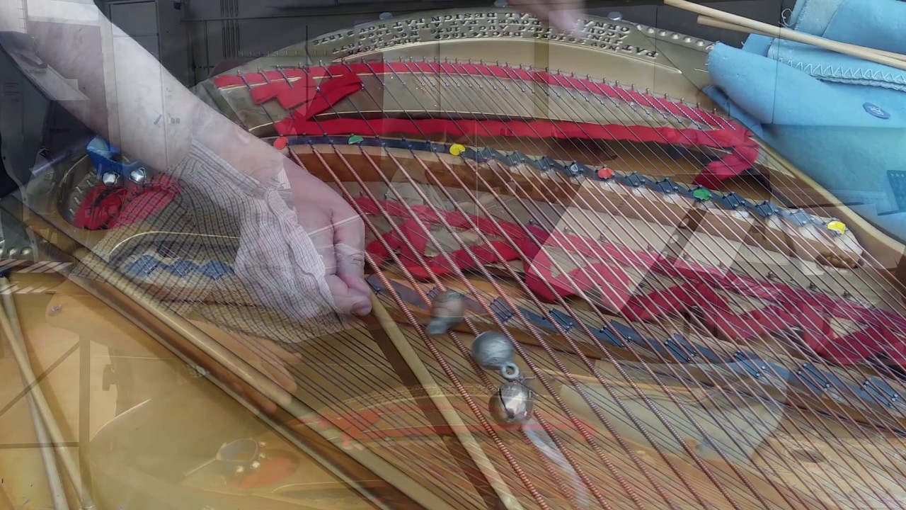 Regels & Spel: rehearsal Pesson