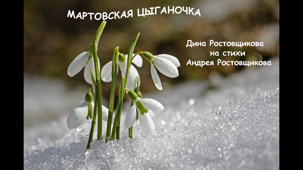 Мартовская цыганочка