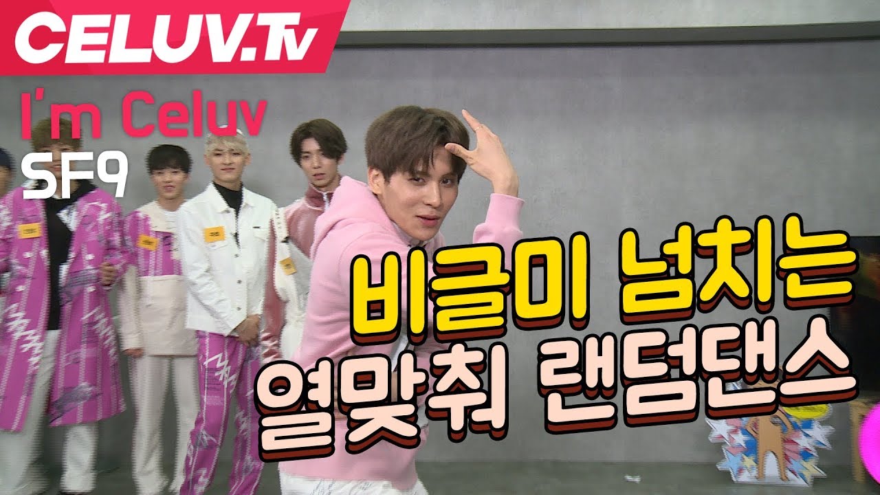 [Celuv.TV/셀럽티비] SF9, 비글미 넘치는 열맞춰 랜덤댄스