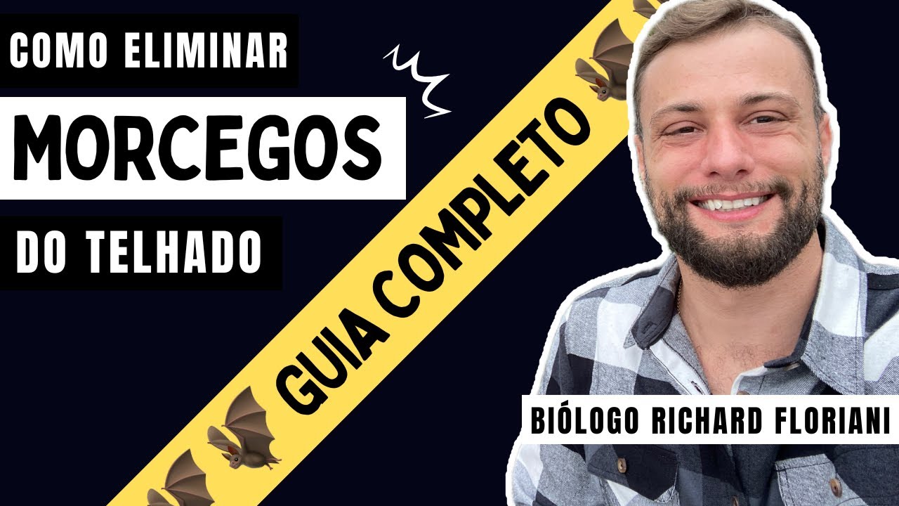Como acabar com MORCEGOS no TELHADO definitivamente: tutorial completo