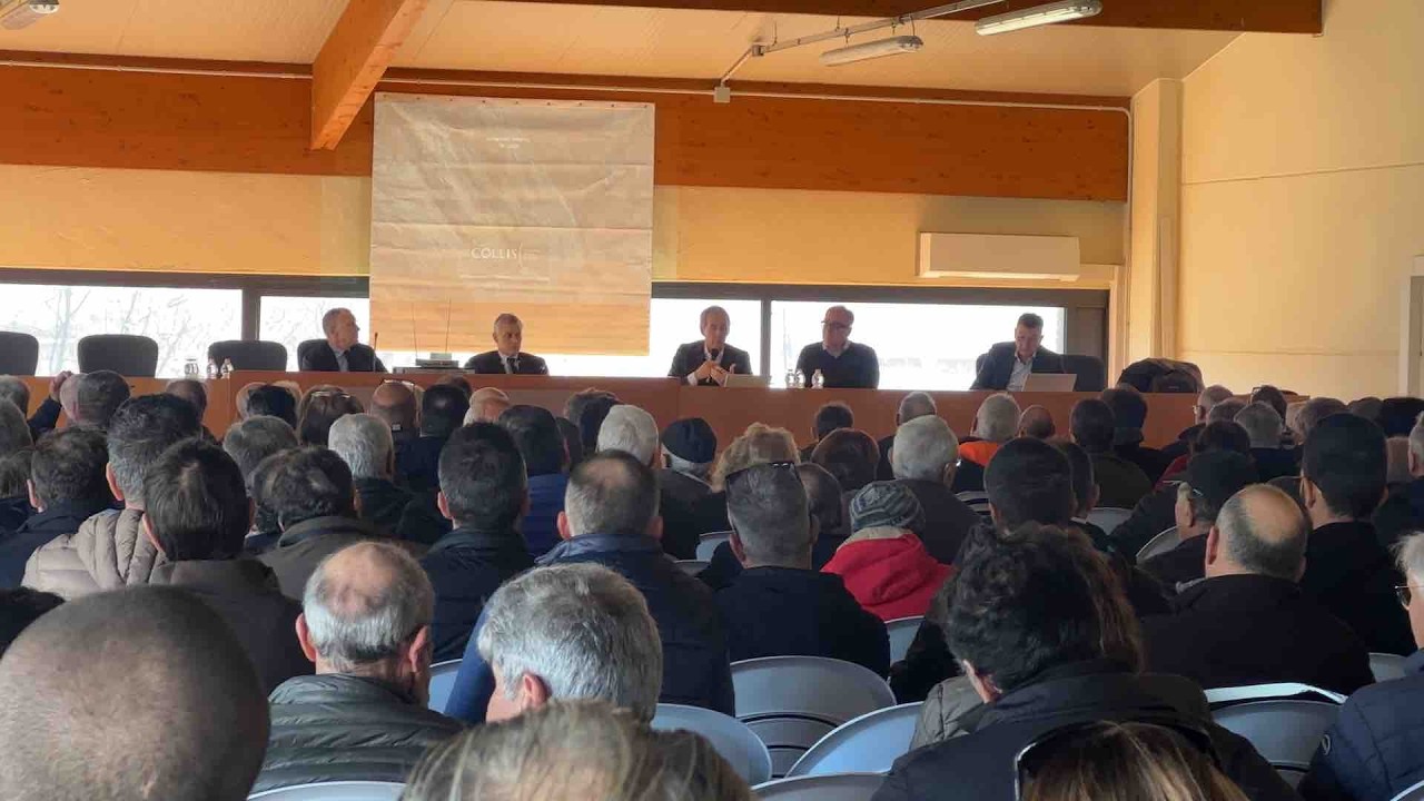 Crisi Terre, la veneta Collis ai viticoltori: 'Garanzie su uve conferite, poi il piano di rilancio'