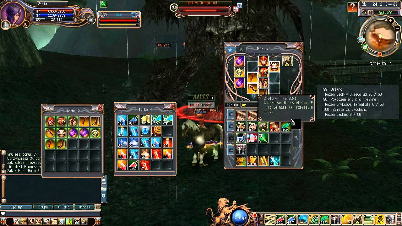 Last Chaos Poland #14 - Śmierć drzewoludom!, info - prywatny serwer.