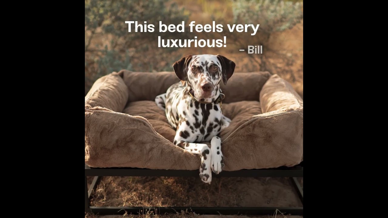 Luxury Dog Beds | Elevated Dog Bed for Large Dogs with Modern Design & Washable Covers 