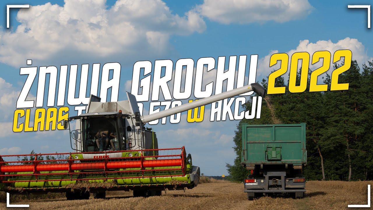 ☆ Żniwa 2022 ☆ ✓ Groch Pod Kose ✓ ☆ Claas Tucano 570 w Akcji ☆