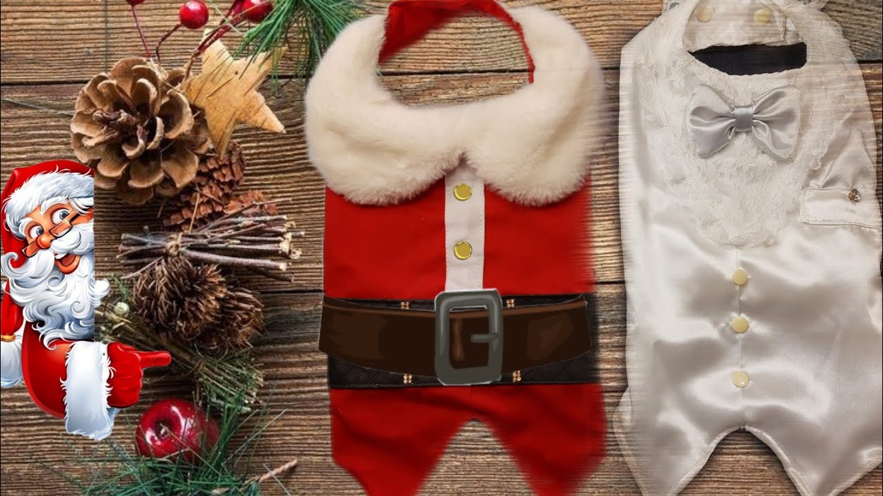 PAPAI NOEL PET/PARA INICIANTES/ MOLDE NA DESCRIÇÃO.