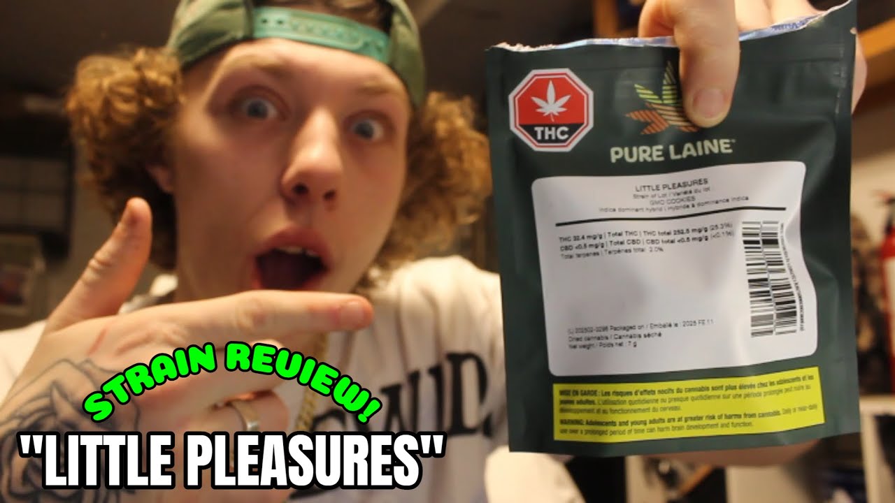 "Little Pleasures" Strain Review!