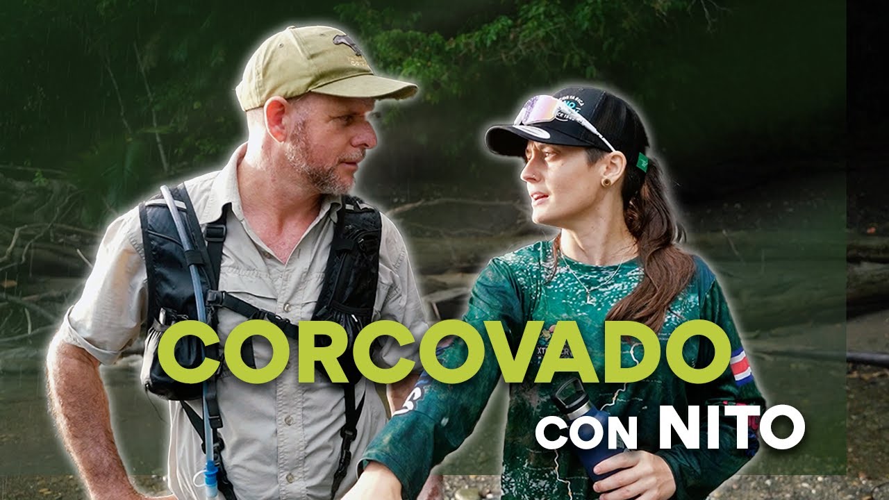 3 DÍAS INCREÍBLES EN LA SELVA MÁS SALVAJE DE COSTA RICA - Corcovado junto a Nito