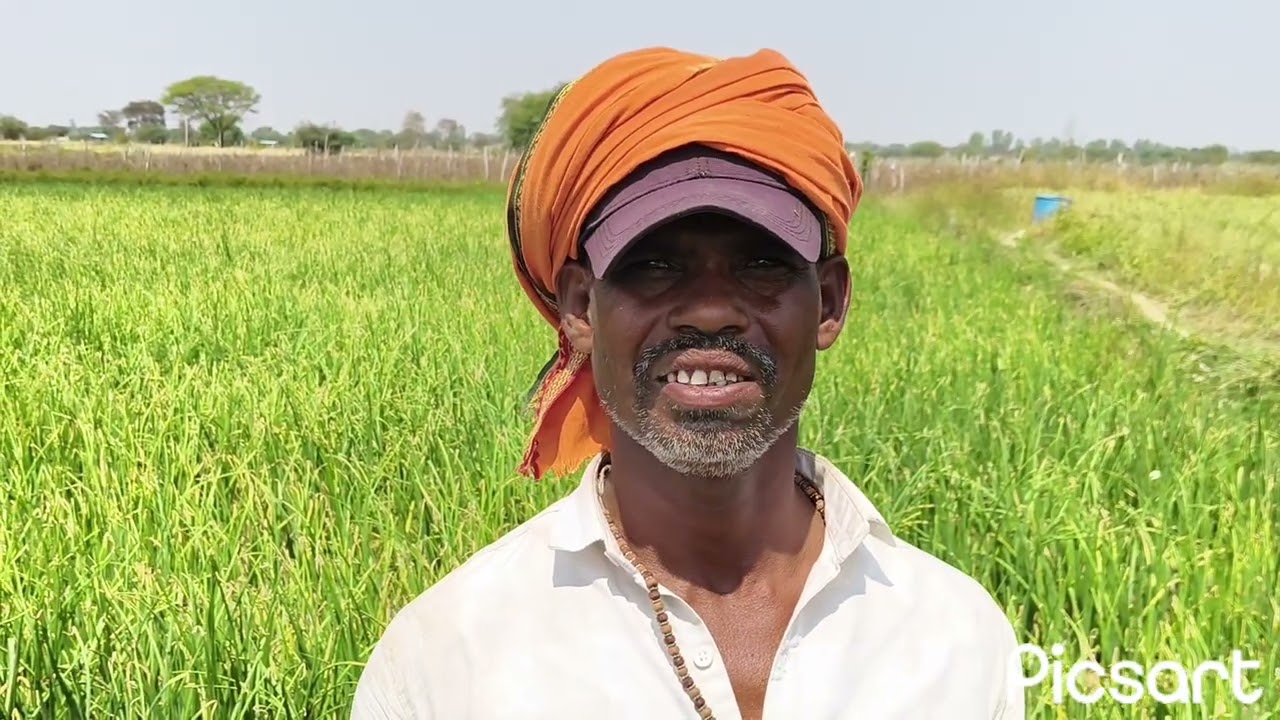 प्याज कि फसल में डबल पावर का रिजल्ट दमदार है...