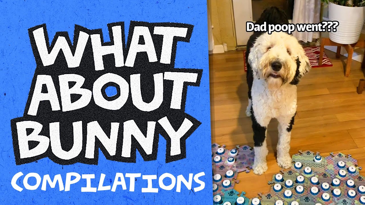 Where Family? | WhatAboutBunny