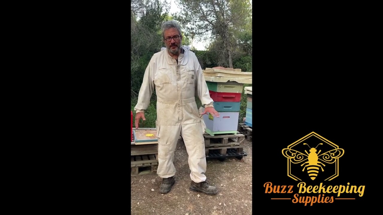 Beekeeping in Malta Part 1