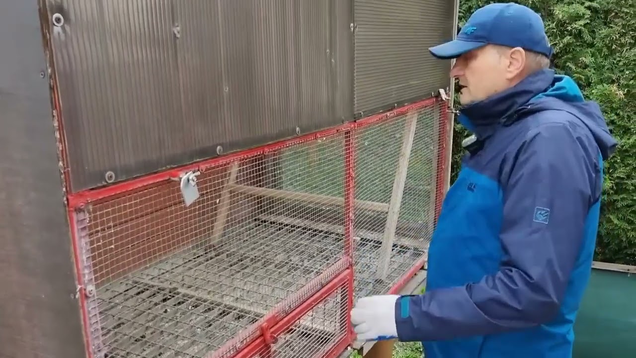 Krzysztof  Mazepa   Ciekawe Informacje