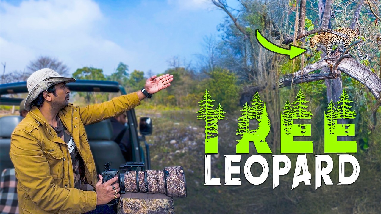 I Returned to Rajaji Tiger Reserve after 33 Months and Found This