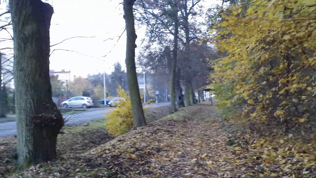 Program KIK – Osobowice.