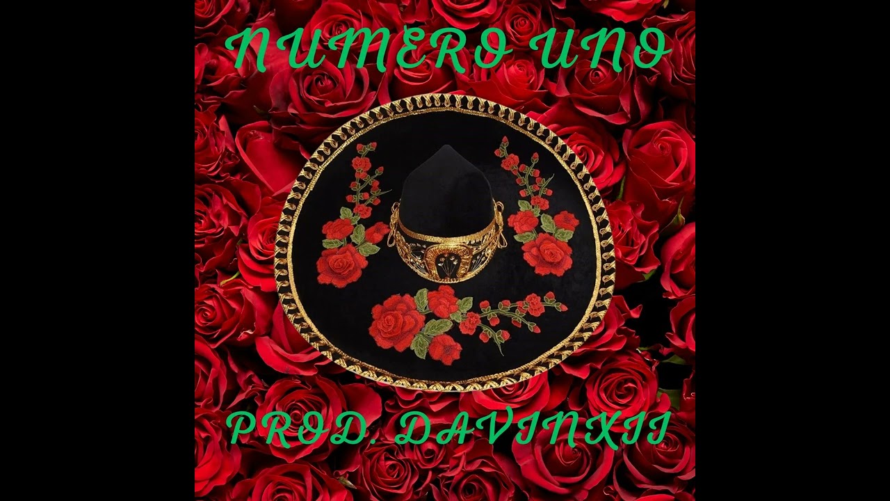 DAVINXII SENSEI-Numero uno