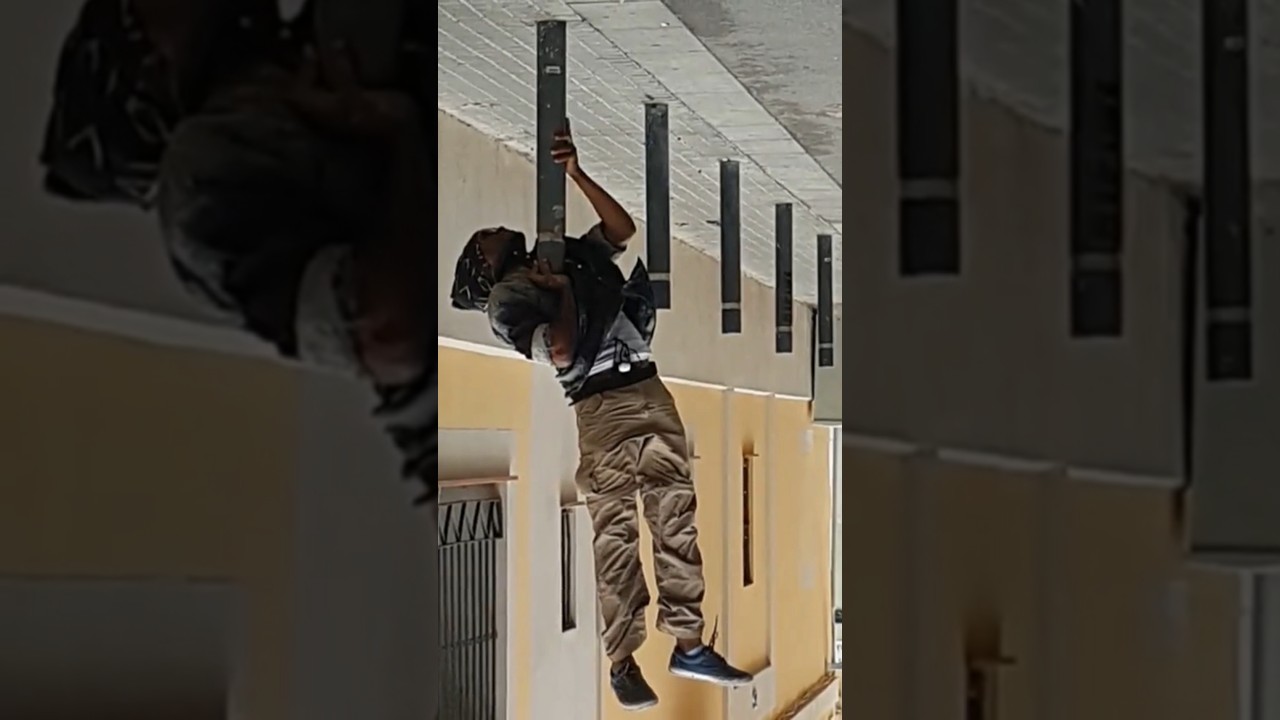 FotoVideo/Perspectiva 1/3 