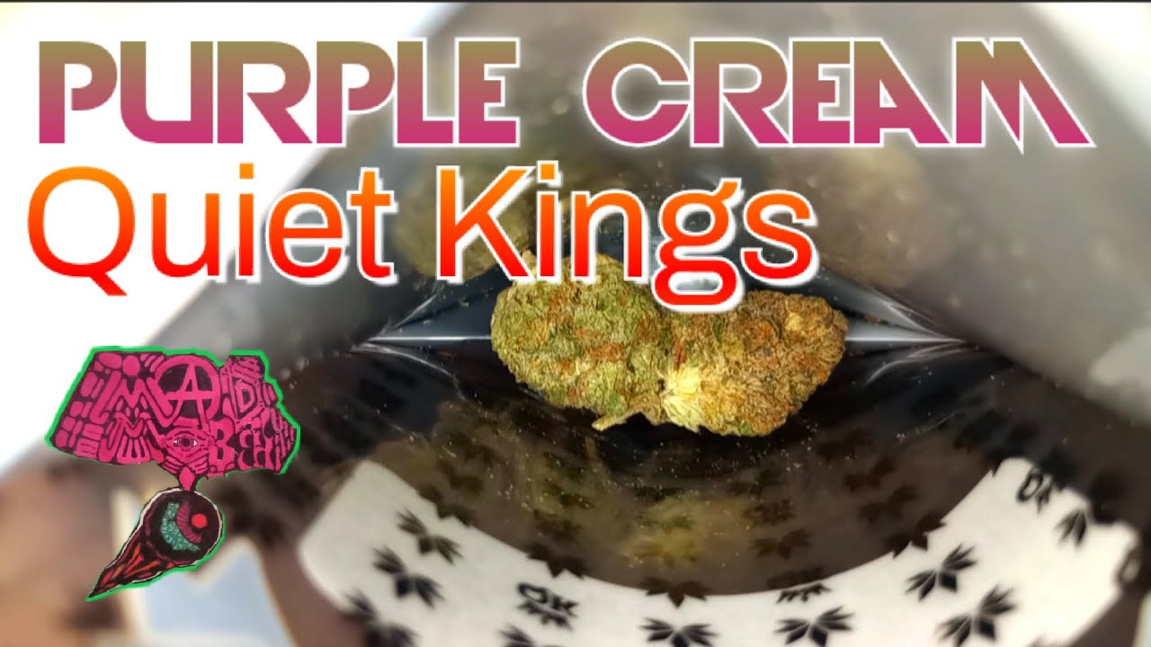 Purple Cream Quiet Kings Cookies California Dispensary Medical Strain Review