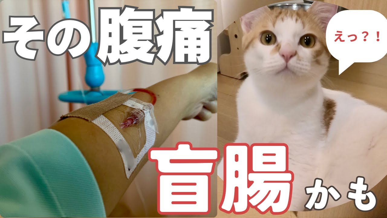 それ、盲腸かも！ちょっとした腹痛から始まった初期症状