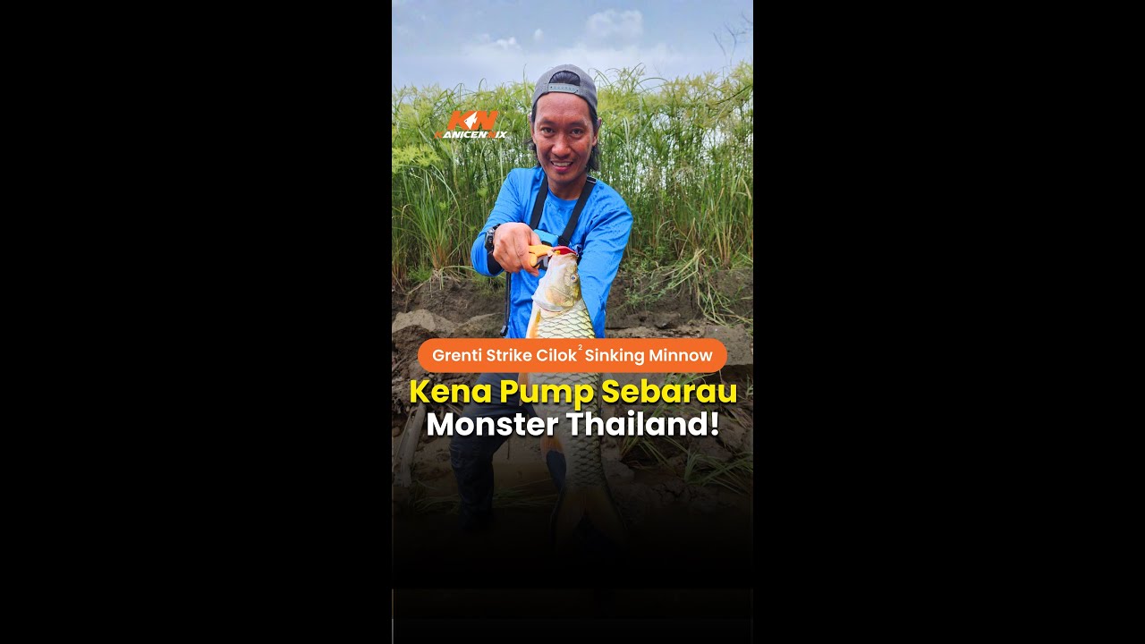 Когда техника срабатывает, хищники наносят удар | Таиланд наносит удар без промедления