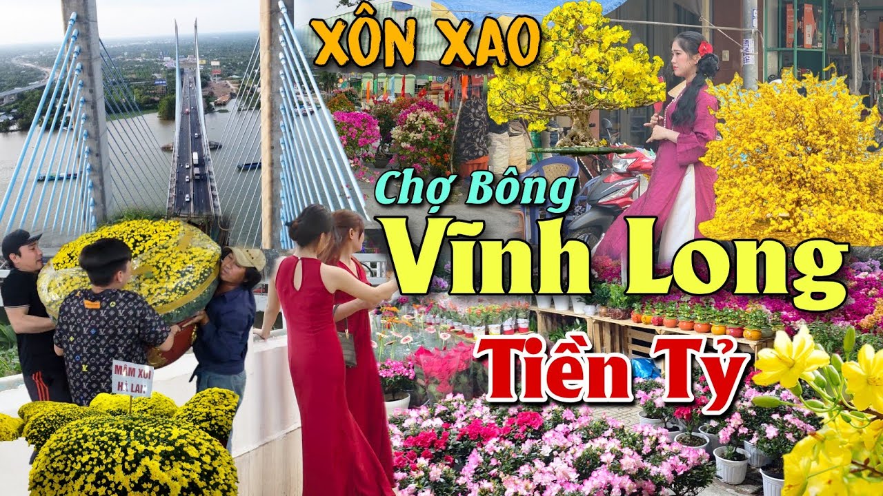 CHỢ BÔNG VĨNH LONG TẾT 2026 XÓM MAI ĐÀO 