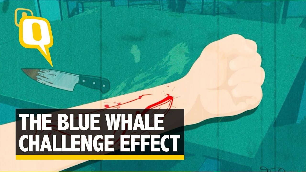 Blue Whale Challenge: Student in Indore Attempts Suicide | The Quint