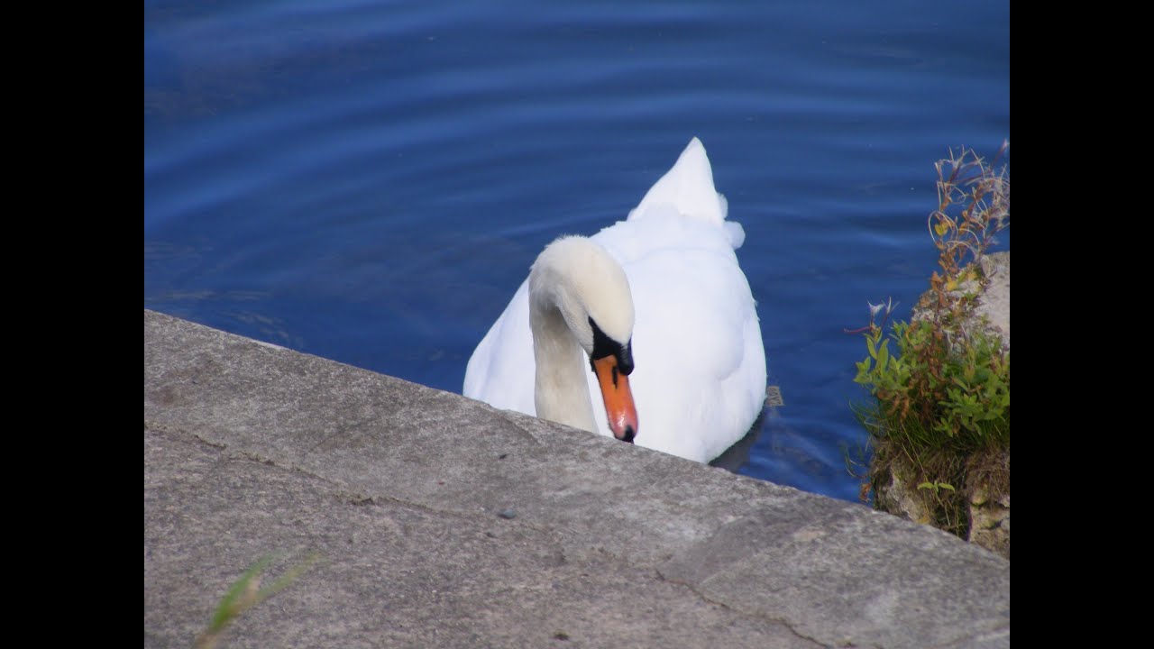 Прогулка в прекрасный солнечный октябрьский день