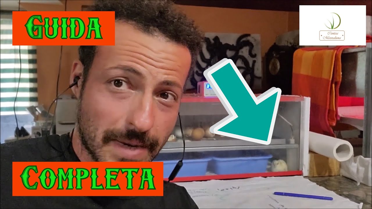 Come Far Nascere Correttamente i Pulcini in Casa