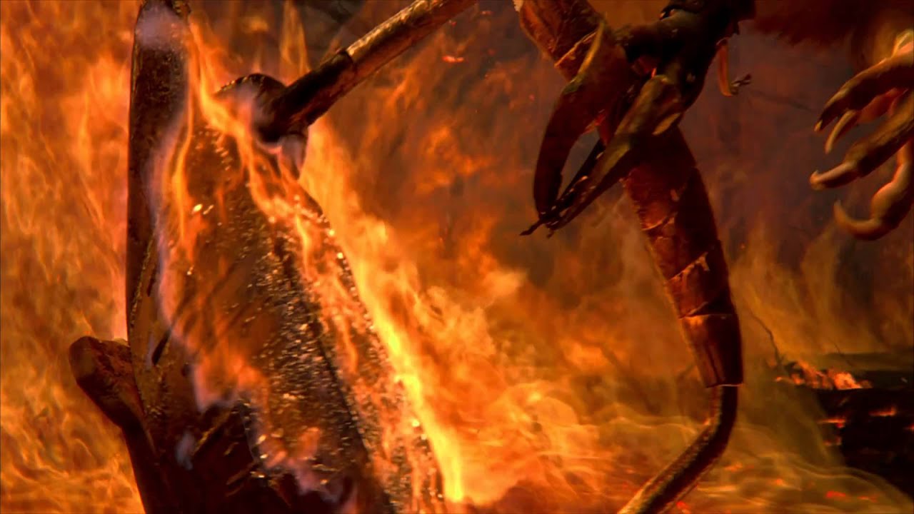Legend of the Guardians: The Owls of Ga'Hoole Beautiful Scene [slow motion]