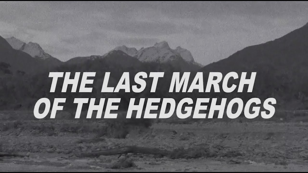 The Last March of the Hedgehogs