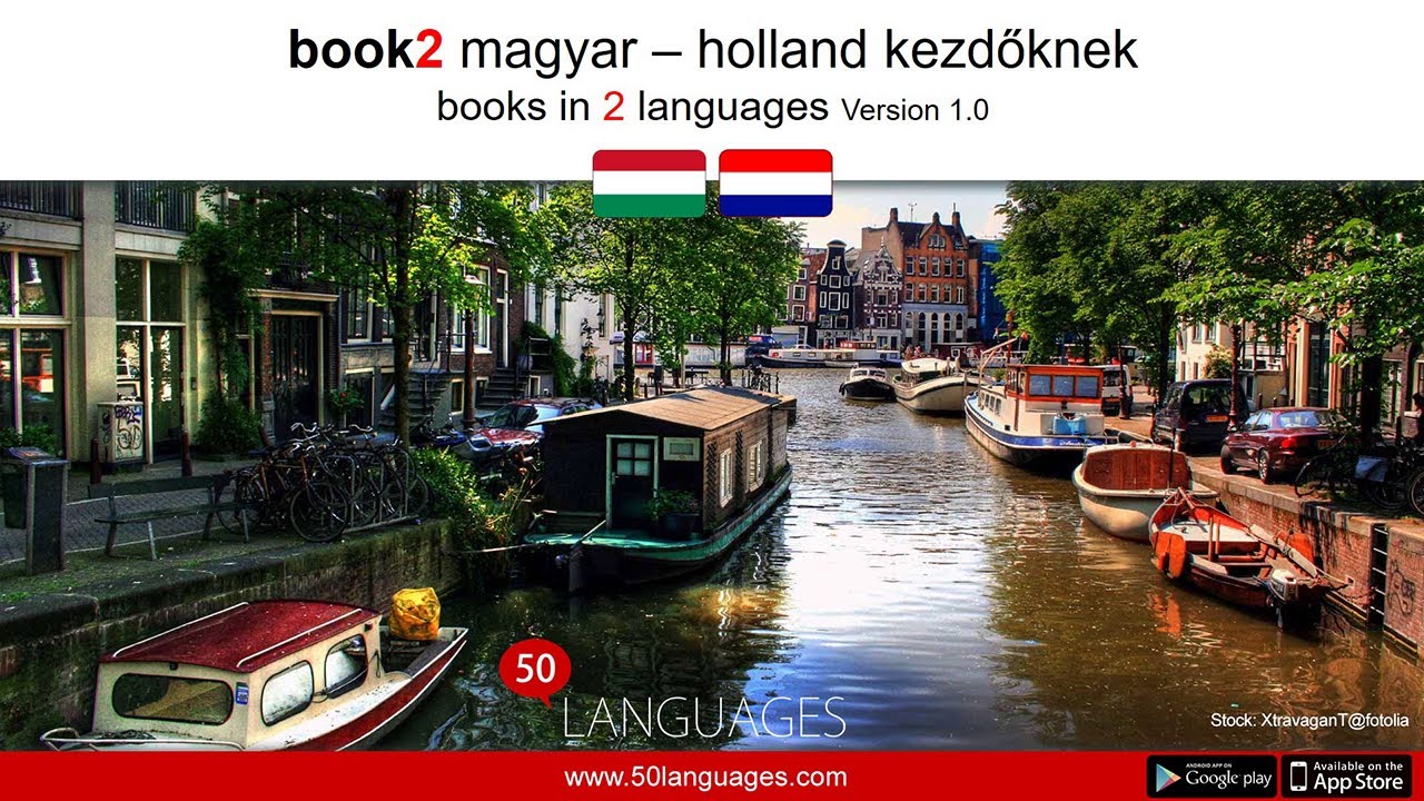 Holland kezdőknek 100 fejezetben