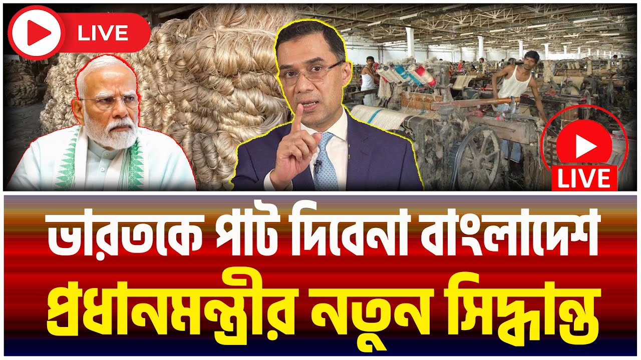 ভারতকে পাট দিবে না বাংলাদেশ !  এবার নিজেদের জুট মিল চালু করছে সরকার! ।The Bangladesh Observers।