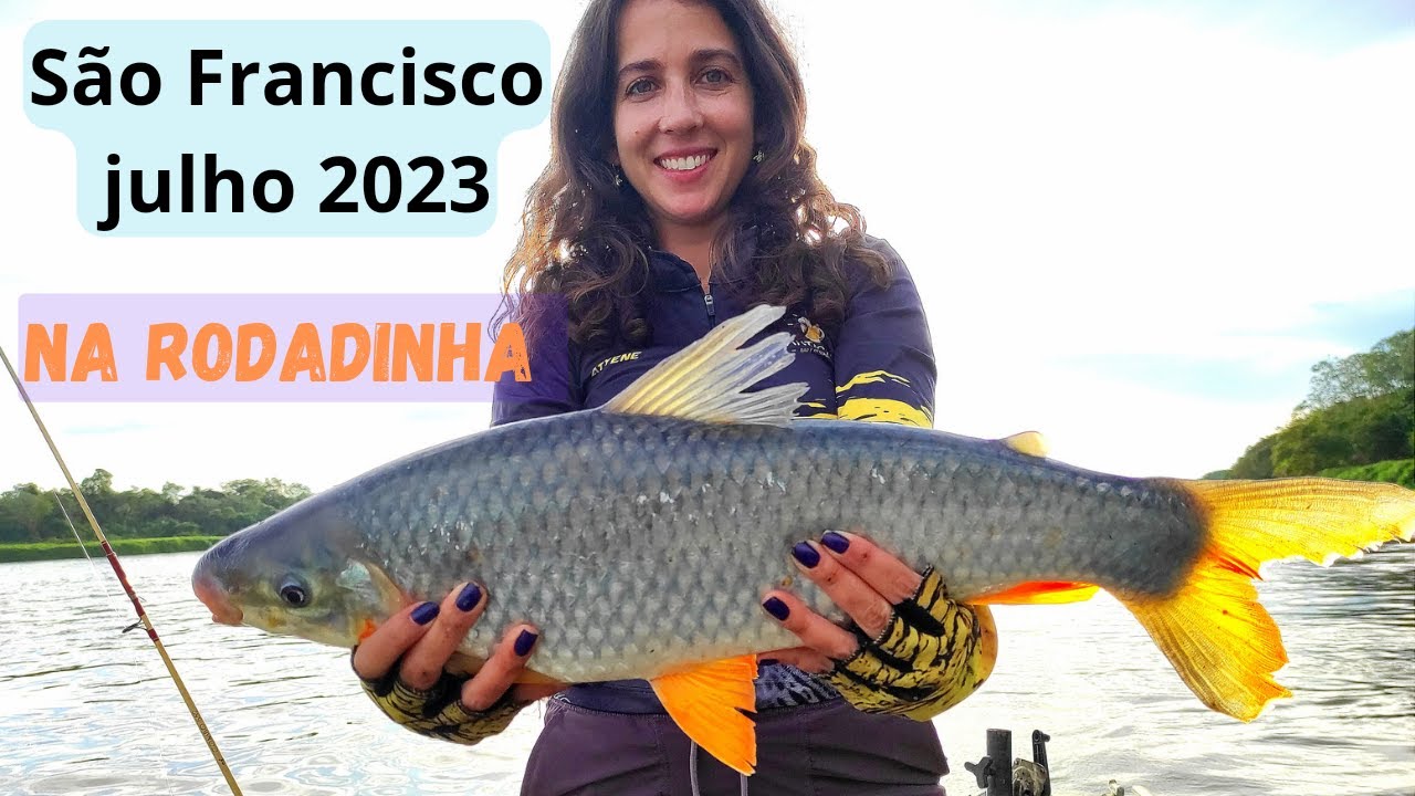 PIAPARA GIGANTE NA MELHOR VARINHA! PESCARIA RIO SÃO FRANCISCO