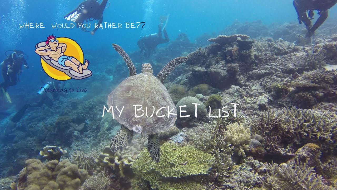 My Bucket List - Coral Coast Adventure  Snorkeling