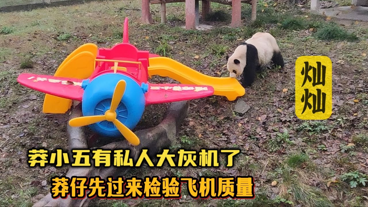 莽小五有私人大灰机了,她妈咪莽仔过来检验飞机✈️质量