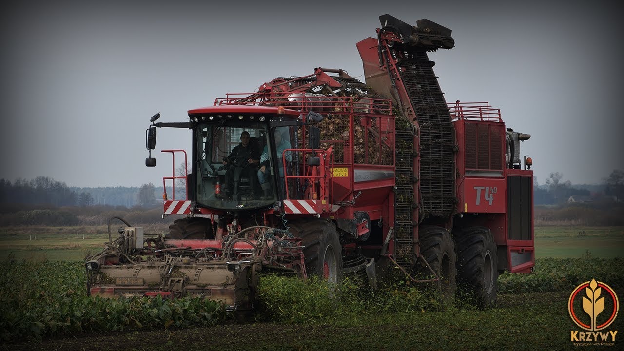 ☆ KOPANIE BURAKÓW 2019 ☆ HOLMER Terra Dos T4-40 ☆ GR GOŁĘBIOWSKI ☆ KrzywY ☆