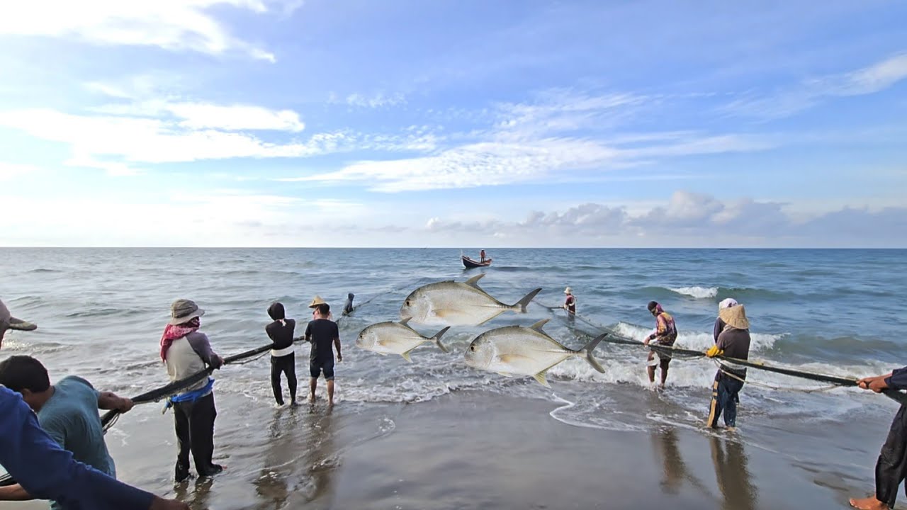 Pulling the Beach Seine Net | Massive Fish Catch